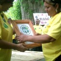 Día del Trabajador Forestal: Júbilo justificado