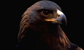 Las “bendiciones de la libertad”