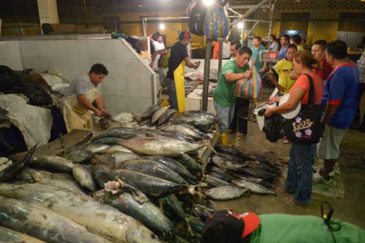 La merma de la pesca por el cambio climático reduce los alimentos disponibles y también una importante fuente de empleo. Foto: Tomada de eltelegrafo.com.ec