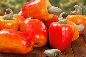 SABORES: Postres en almíbar y frutas en olvido