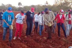 Participa Díaz-Canel en trabajo voluntario en La Habana (+Fotos)