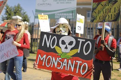 Monsanto, bajo la cúpula imperturbable del Gobierno de EE.UU.