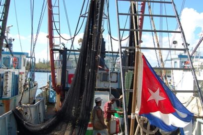 De cuarto menguante a luna nueva, en busca del cumplimiento