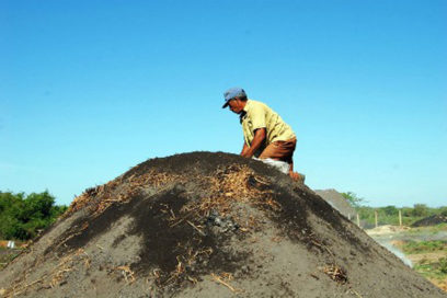Simpatía por el carbón