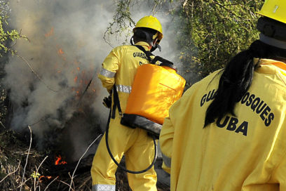 Ejercicio Meteoro 2013: La prevención como estrategia