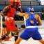 Campeonato Nacional de Boxeo, Pinar del Río