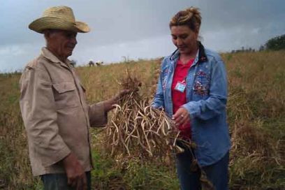 Frente a las inclemencias naturales