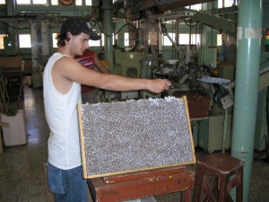 Las producciones defectuosas se reciclan en la fábrica de Holguín.