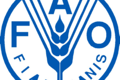 Evalúan relaciones de la FAO con Cuba