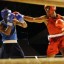Campeonato Nacional de Boxeo por Equipos