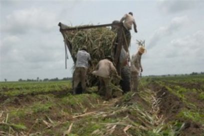 El rescate más dulce de Cuba
