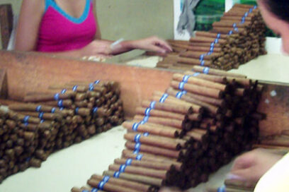 Saludo productivo al Primero de Mayo