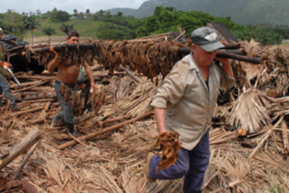 Pinar del Río se recupera