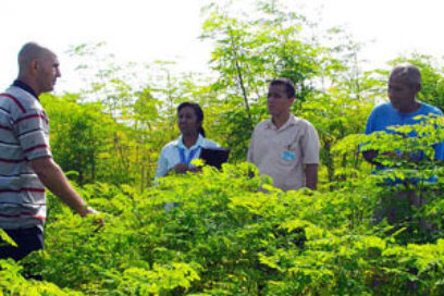 Con las riendas de la ciencia