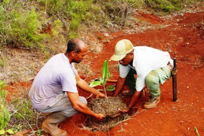 Avances en la preservación del medio ambiente