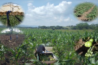 Campesinos cubanos se benefician con proyectos de ONG