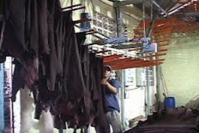 Clientes de La Vaquita  piden no cerrarla