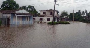Numerosas viviendas han sido inundadas por la crecida del río