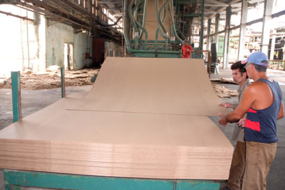 Comienzan a producir tableros de bagazo