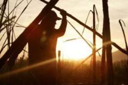 El cuadro: el mejor de los maestros