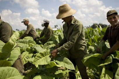 Propuesta de cambios fundamentales en Anteproyecto de Ley Código del Trabajo
