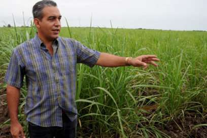 El país demanda más azúcar