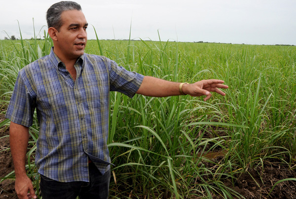La conferencia centrará sus debates en la eficiencia económica y el trabajo político ideólogico, afirmó José Antonio Pérez. Foto: Roberto Carlos Medina