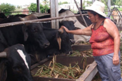 Juana es más que motivos