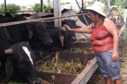 Los ojos de los dueños