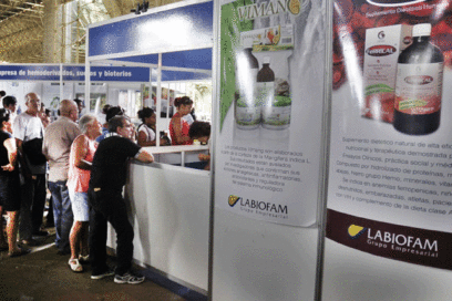 Paseos de verano (VII)