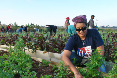 Cubanas y federadas (+FOTOS)