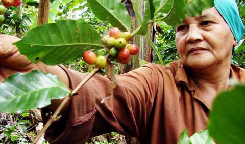 Campesina. FotoRodny Alcolea