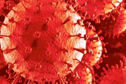 Alerta por la transmisión entre personas de una nueva y mortal cepa del virus H7N9