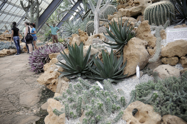 Foto: René Pérez Massola