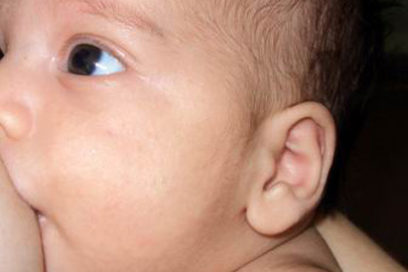 Garantías del primer alimento