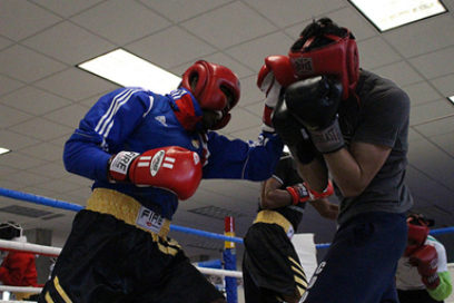 ¿Domadores o Guerreros?