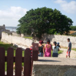 En la foto, uno de los accesos terrestres originales que tenía el Castillo. Al fondo un frondoso jagüey. Unos 300 ejemplares similares a ese debieron ser talados de los muros y plataformas de la fortaleza cuando se iniciaron las labores de restauración a finales de la década del 90 del pasado siglo. Fotos: Yoel Farramola Yero