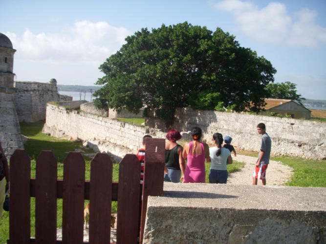 En la foto, uno de los accesos terrestres originales que tenía el Castillo. Al fondo un frondoso jagüey. Unos 300 ejemplares similares a ese debieron ser talados de los muros y plataformas de la fortaleza cuando se iniciaron las labores de restauración a finales de la década del 90 del pasado siglo. Fotos: Yoel Farramola Yero