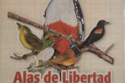 Asalto al cielo, este miércoles, por la paz y Los Cinco