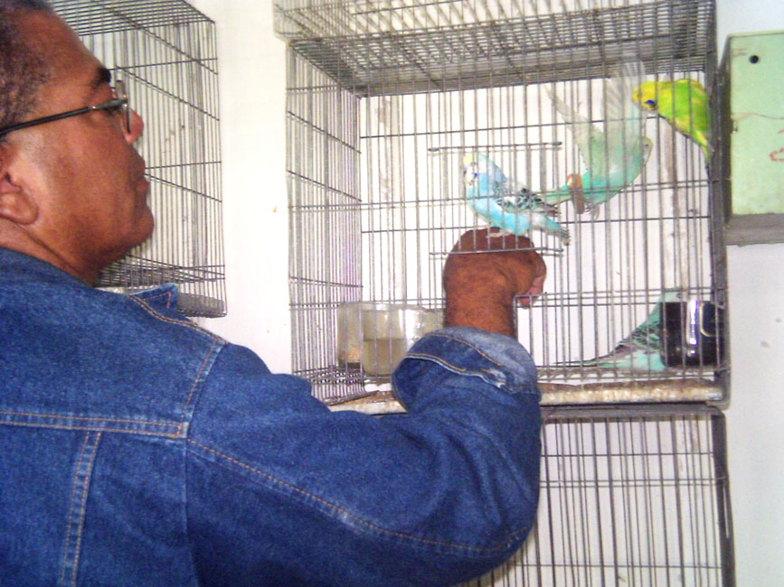 Capelli muestra parte de su aviario.