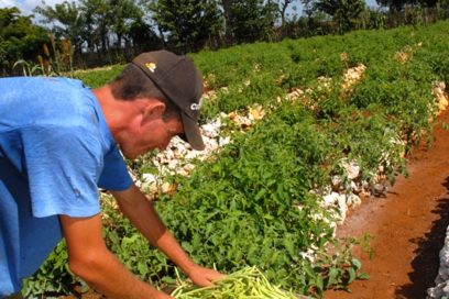 La constancia como premisa