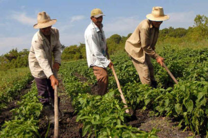 Agropecuarios y forestales: De compromisos y festejos