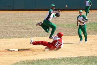 Toparon Avispas y Elefantes