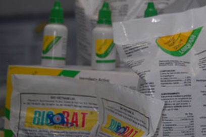 Convenian Cuba y Ecuador hacer planta de bioplaguicidas y biofertilizantes