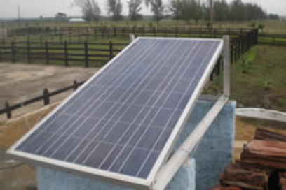 Sector ganadero más protegido