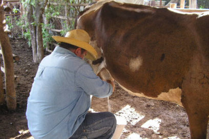 Frutos del usufructo no llenan la mesa