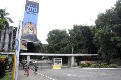 Volverán en un número razonable y sin revender