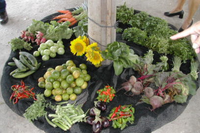 Amplían ventas de productos agrícolas al turismo