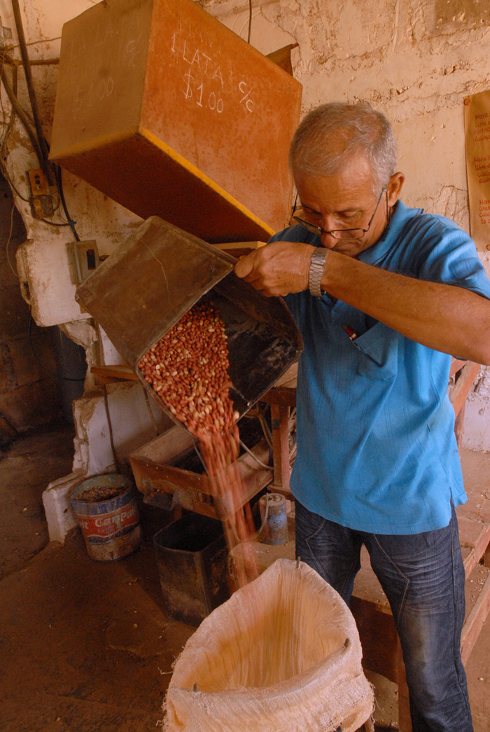El grano preferido por el rey.
