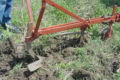 Cuidar y restaurar los suelos: legado a futuras generaciones